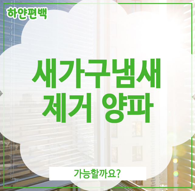  새가구냄새제거 양파, 가능할까요?