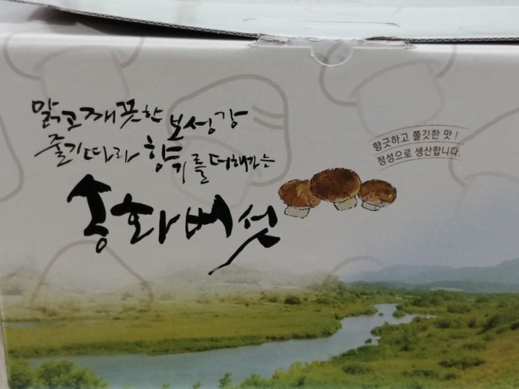  순천향버섯농원 송화버섯선물받다내요