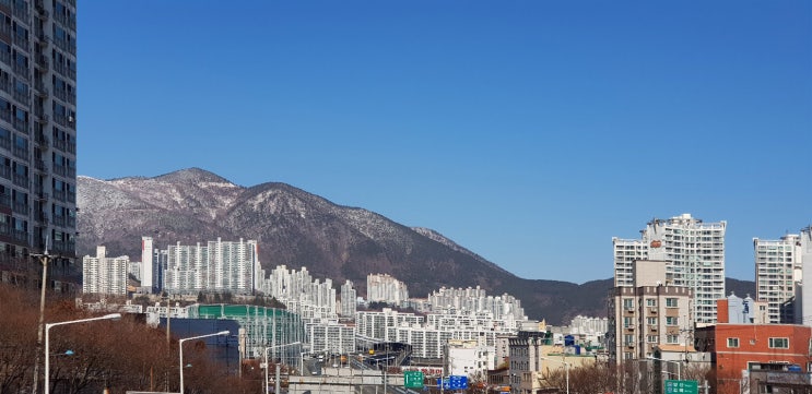  2019년 1월 31일 부산에 첫눈이 내렸습니다