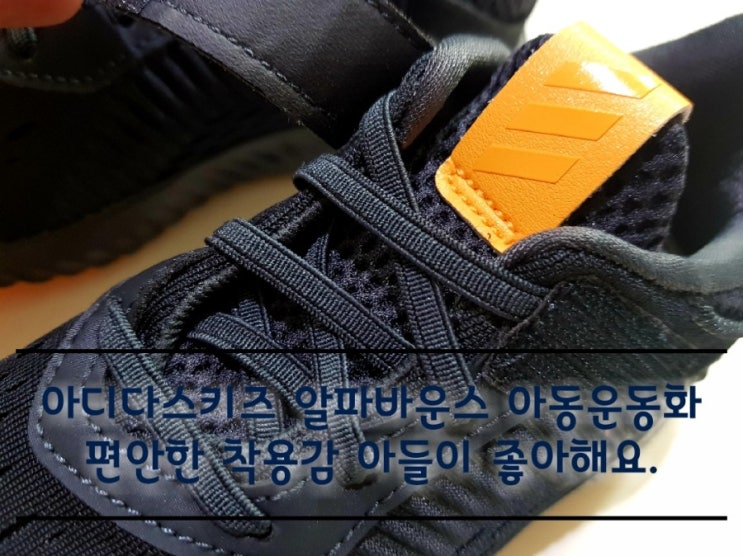 아디다스키즈 알파바운스 아동운동화 새 신발 장착 완료! 아디다스키즈 알파바운스 아동운동화 새 신발 장착 완료!