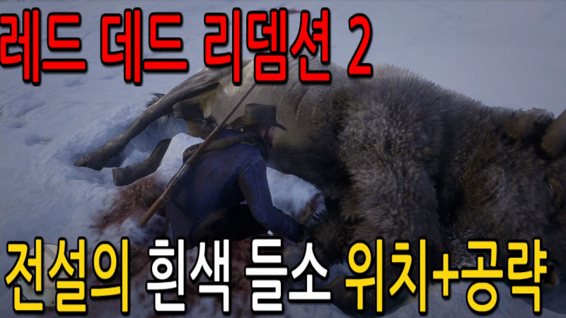 레드데드리뎀션2 전설의 흰색 들소 위치+공략 Red Dead Redemption 2 : 네이버 블로그 레드데드리뎀션2 전설의 흰색 들소 위치+공략 Red Dead Redemption 2 : 네이버 블로그