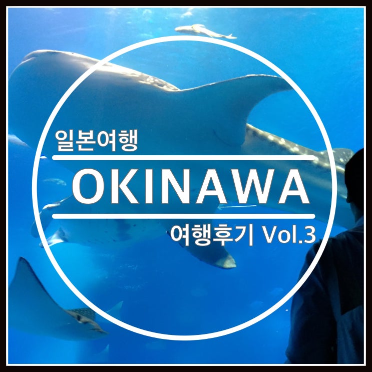 오키나와 겨울여행 츄라우미수족관/만좌모/아메리칸빌리지/스테이크BB/와후테이 오키나와 겨울여행 츄라우미수족관/만좌모/아메리칸빌리지/스테이크BB/와후테이