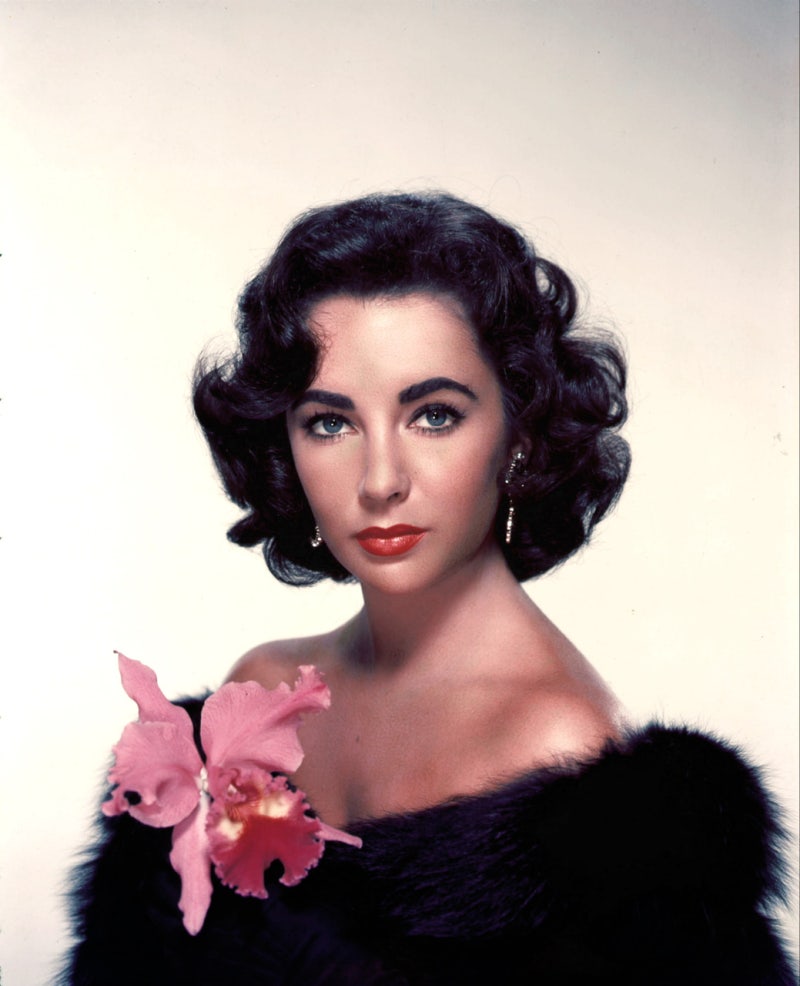 1951년 23회 아카데미 시상식 최종 결과 : 네이버 블로그, image size:800x986