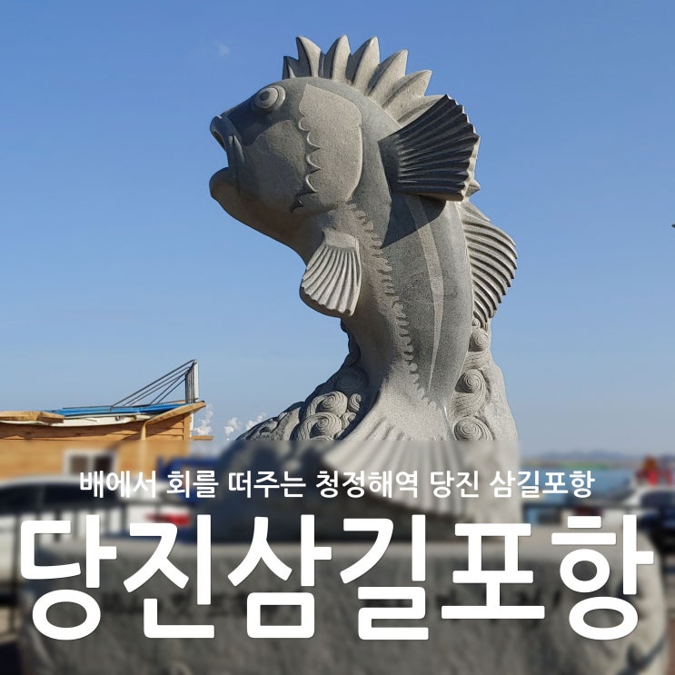  회가 저렴하고 배에서 회떠주는 서산 삼길포항