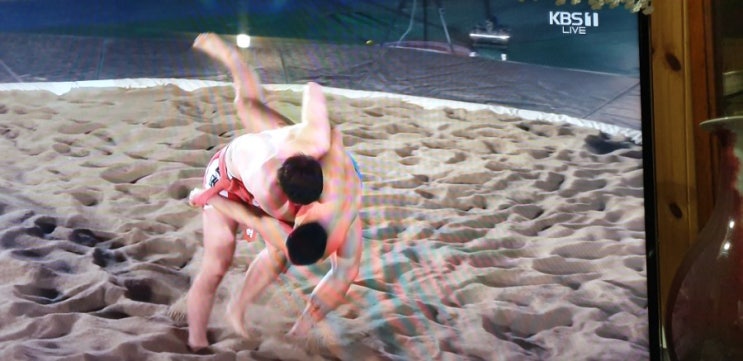 <2019설날장사씨름대회> 금강장사 ~임태혁(수원시청) 정읍시 국민체육센터  #가인강산의세상만사