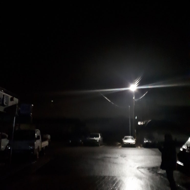  190203