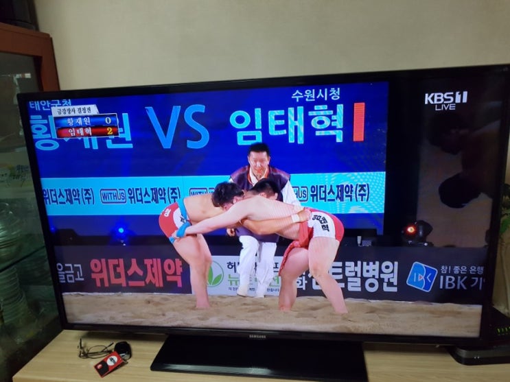  2019 설날 금강장사에  임태혁   장사  (수원시청)등극