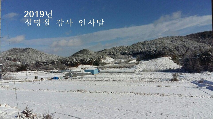  2019년 설명절 감사 인사말