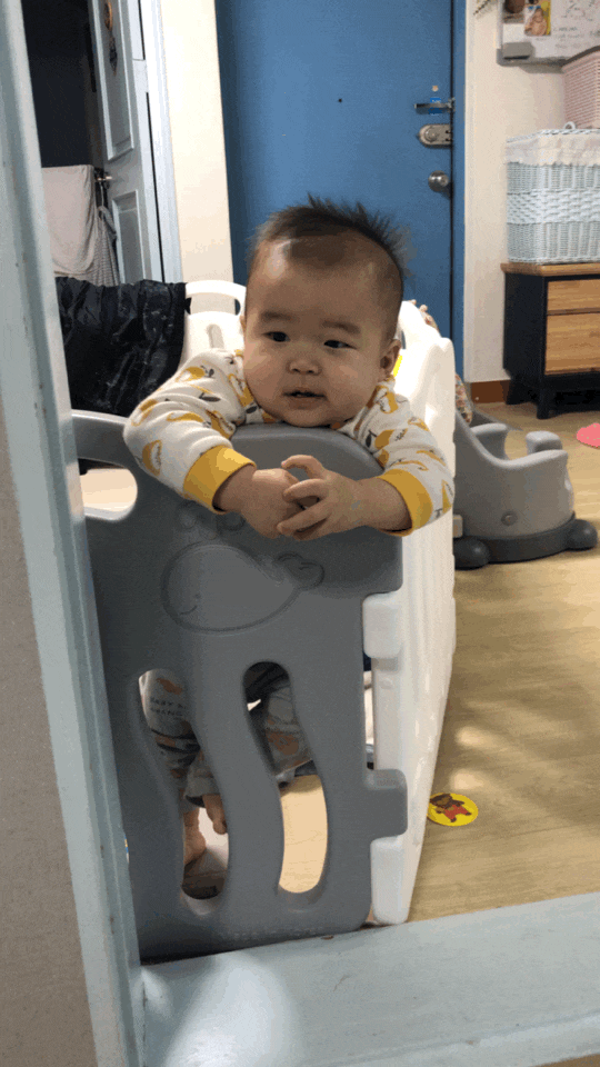  D+312 10개월이 된 알밤 & 동생을 보고 온 알밤
