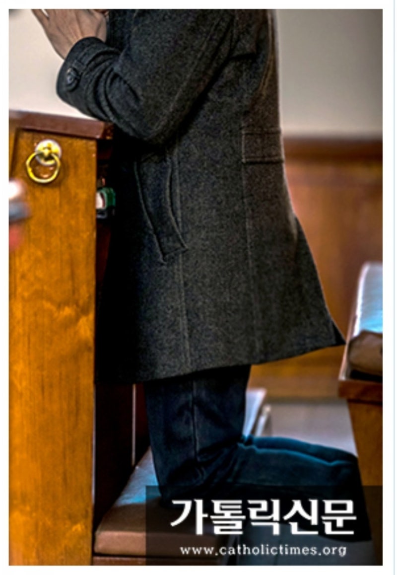 이 말이 궁금해요] 장궤 : 네이버 블로그