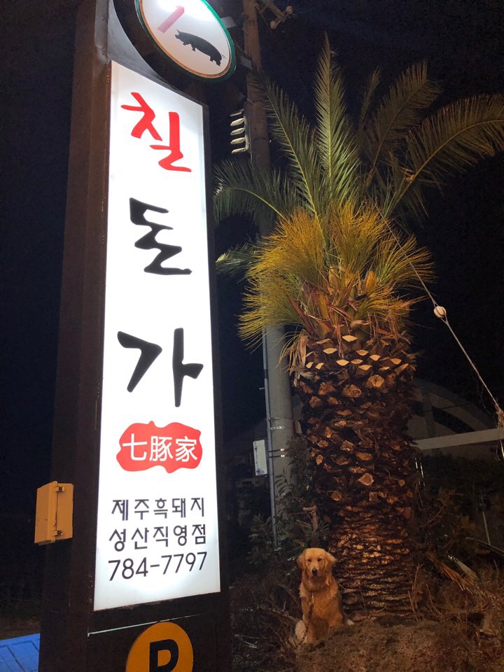  제주 성산맛집 칠돈가