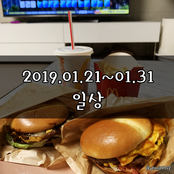  [일상] 2019.01.21~01.31_ 신혼 일상 / 비숑사랑 / 서울나들이 / 조카바보