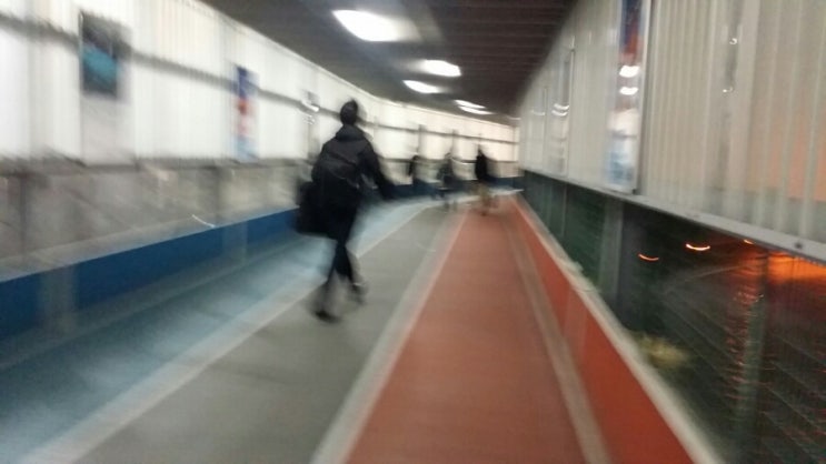  석현준에게 배우는 개운의 방법 좌절 포기 말고 희망 도전