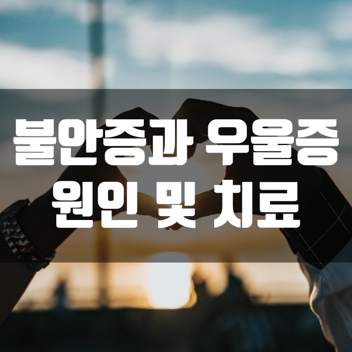  불안증 및 우울증 원인 및 치료 - (대체의학 관점)