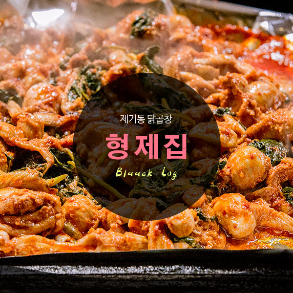  제기동 닭곱창 : 형제집