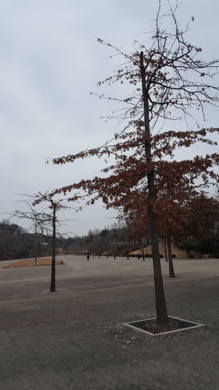  연휴 첫날 서울랜드
