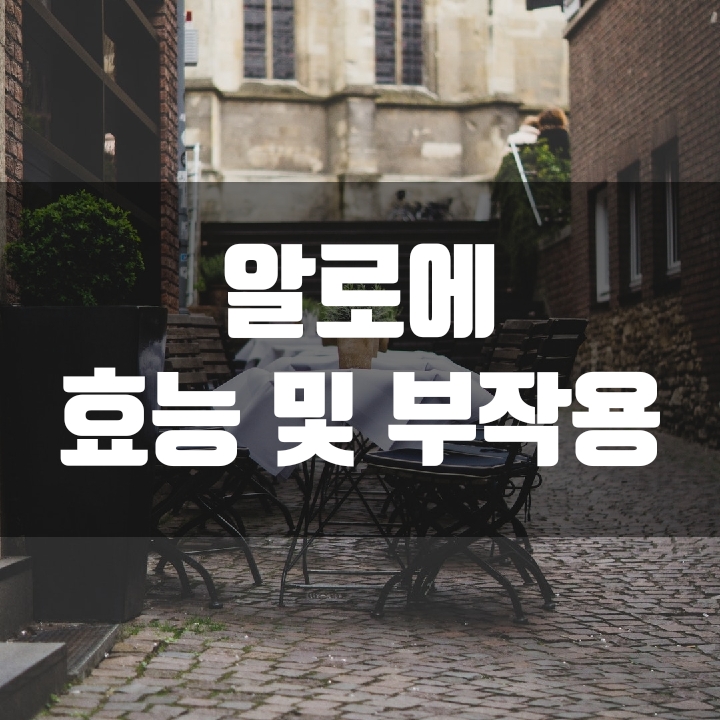  알로에 효능과 부작용
