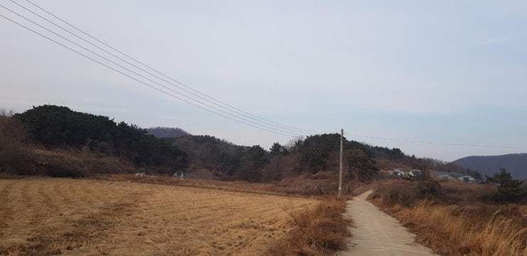 백령도 (전) 1,840㎡ 토지매매 8,900만원 【바닷가 2분 전원주택 추천】