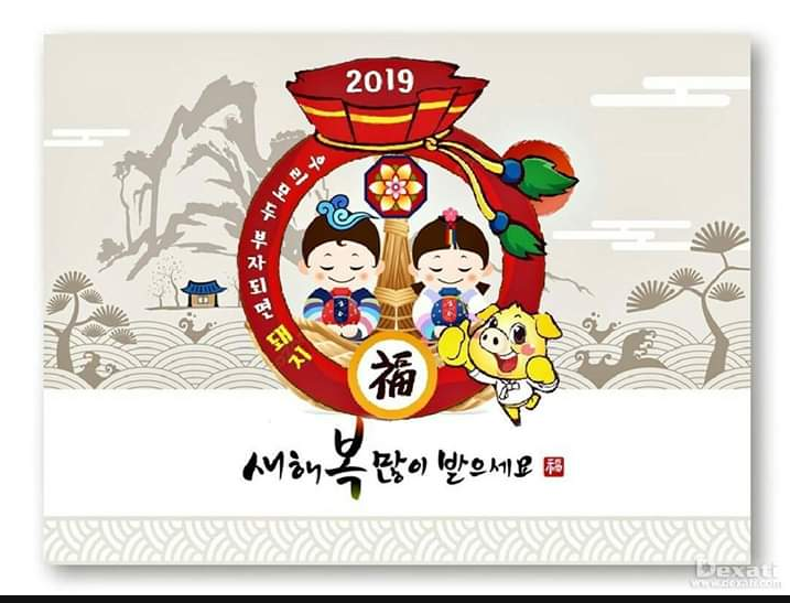  기해년 새해 복많이 받으세요.악어새는 올해에도 화재청소 동상 배관세척 샹들리에 외벽 공장 학교체육관강당 입주 욕실나노코팅 줄눈시공 마루코팅 새집증후군 씽크대상판나노코팅 주력합니다.