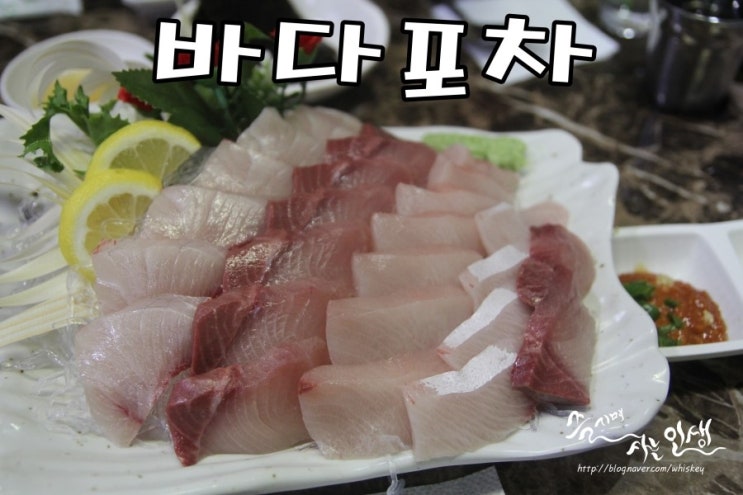  [미아사거리역맛집] 미아사거리 횟집 바다포차