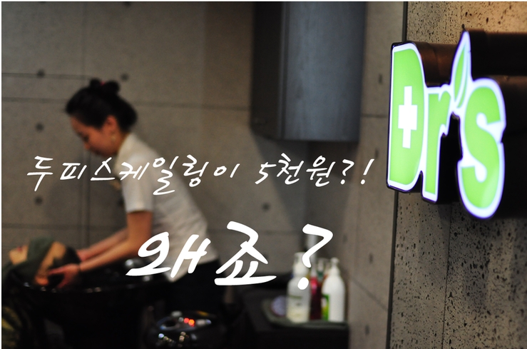 두피스케일링,단 돈 5천원! 두피스케일링,단 돈 5천원!