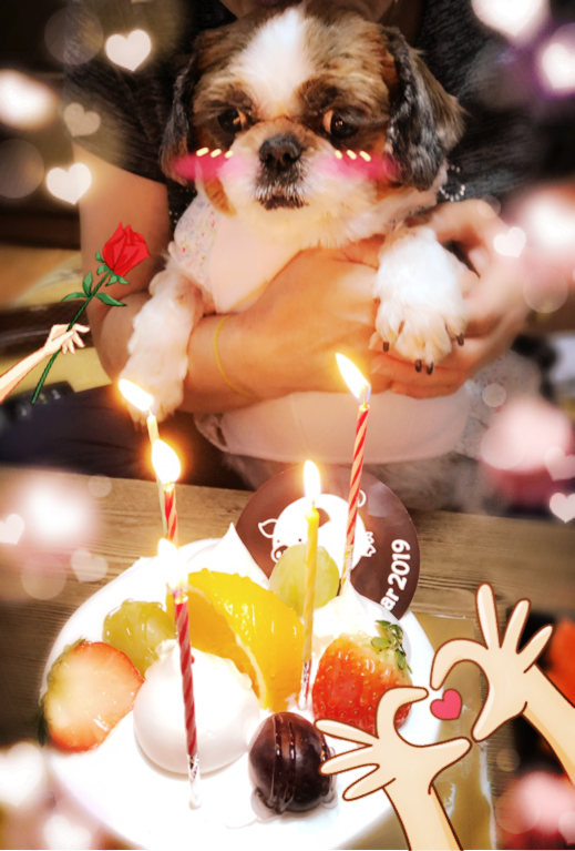  생일 파티 :) 그녀들과 함께한지 1주년 되는 날