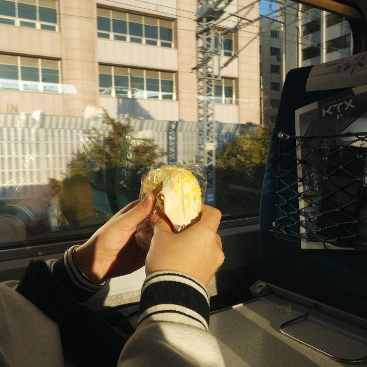  강화도 여행 / 강화도 맛집 '청강횟집' 밴댕이, '황촌집' 쭈꾸미메밀막국수