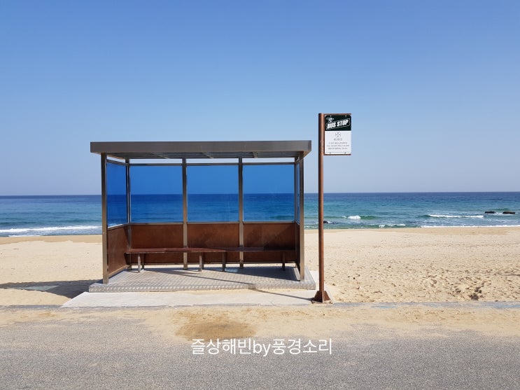  [7번국도여행] 명절여행 마무리 “주문진 청시행비치•후포리 만리장성 홍게짬뽕”