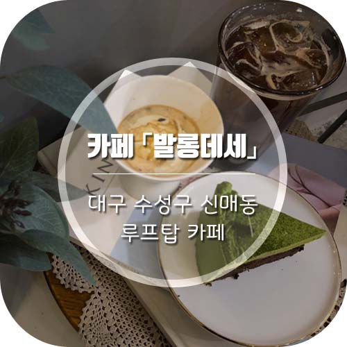  [대구시지카페] 신매동 루프탑카페 발롱데세