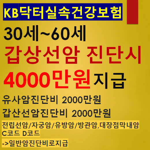  17 KB손해보험 닥터실속건강보험 30대~60대도 갑상선암 진단시4000만원지급