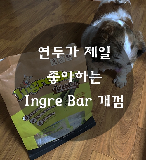  가수분해 개껌 Ingre Bar