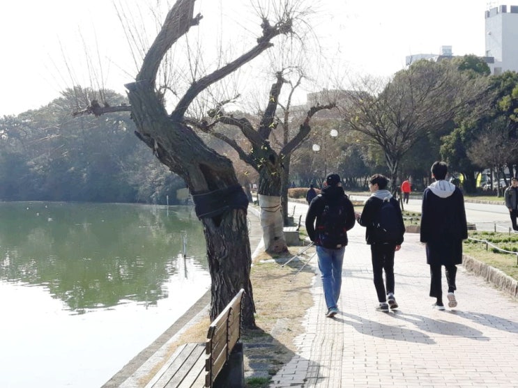  [17 후쿠오카 여행] 오호리 공원 산책