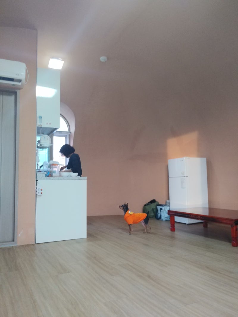 사진 3