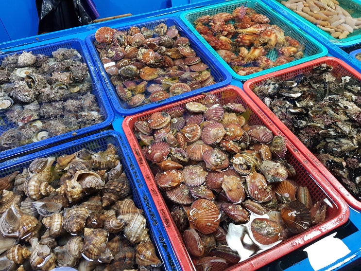 맛있는녀석들에 나온 거제 고현시장! 해산물사러간 고현시장! 고현시장주차장+통영바다,통영휴게소 :)