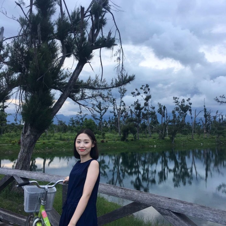  [대만 / 3박 4일 동부 여행 : 타이동 台東 2] DAY1 (태화촌, 옛기차역), 삼림공원, 해변공원, 야시장