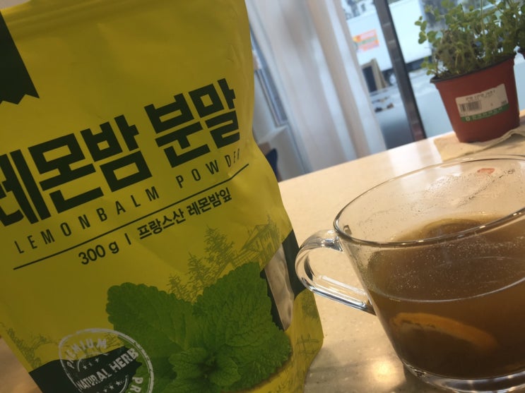  레몬밤