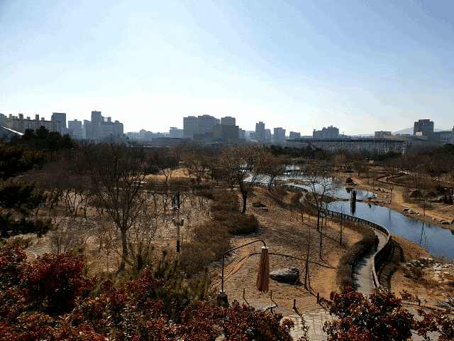  대전 아이들과가볼만한곳 커플데이트 / 한밭수목원, 야외스케이트장, 대전시립미술관, 이응노미술관
