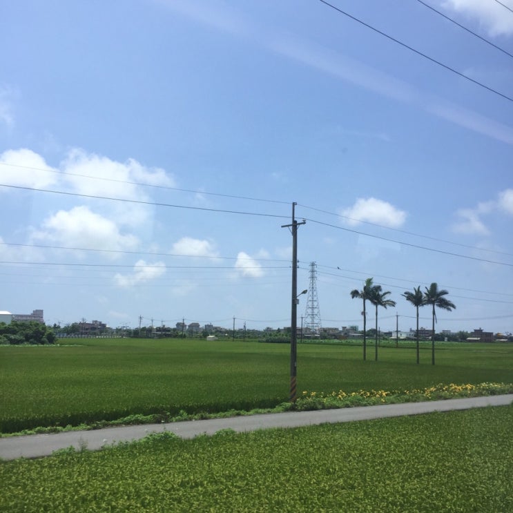  [대만 / 3박 4일 동부 여행 : 타이동 台東 1] DAY1 태화촌, 옛기차역, (삼림공원, 해빈공원, 야시장)