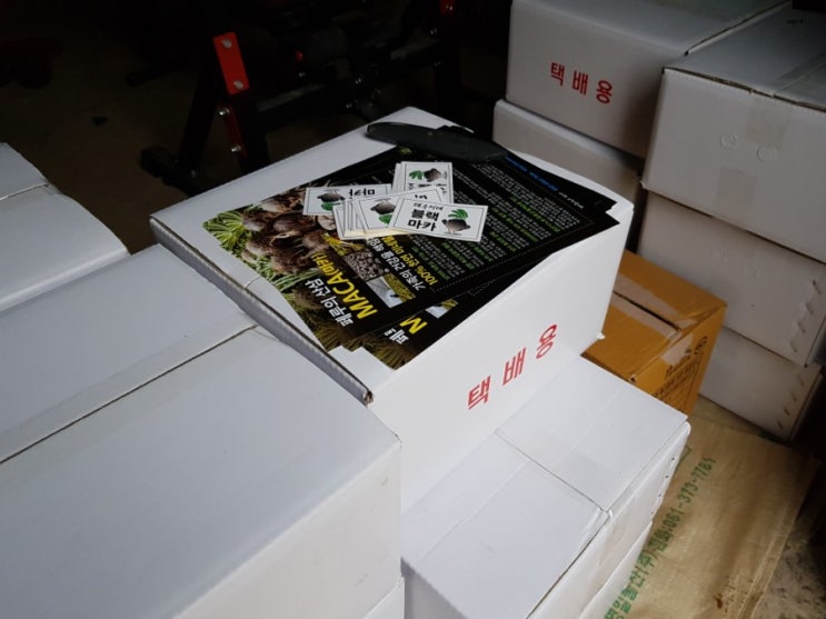 밑지(가)는 기분은? 밑지(가)는 기분은?