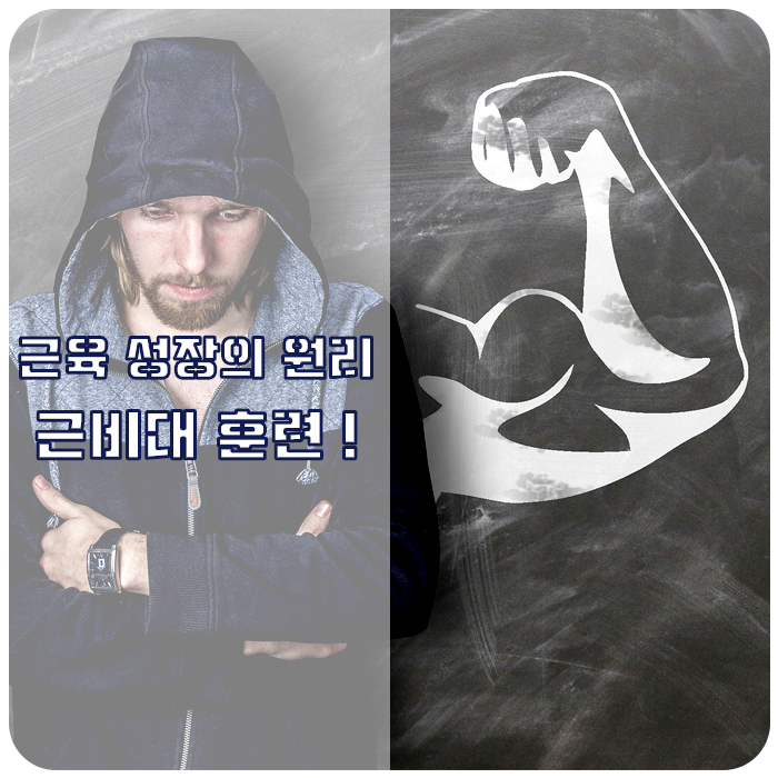  [린매스업] 근육량을 늘려보자 : : 근비대 훈련법