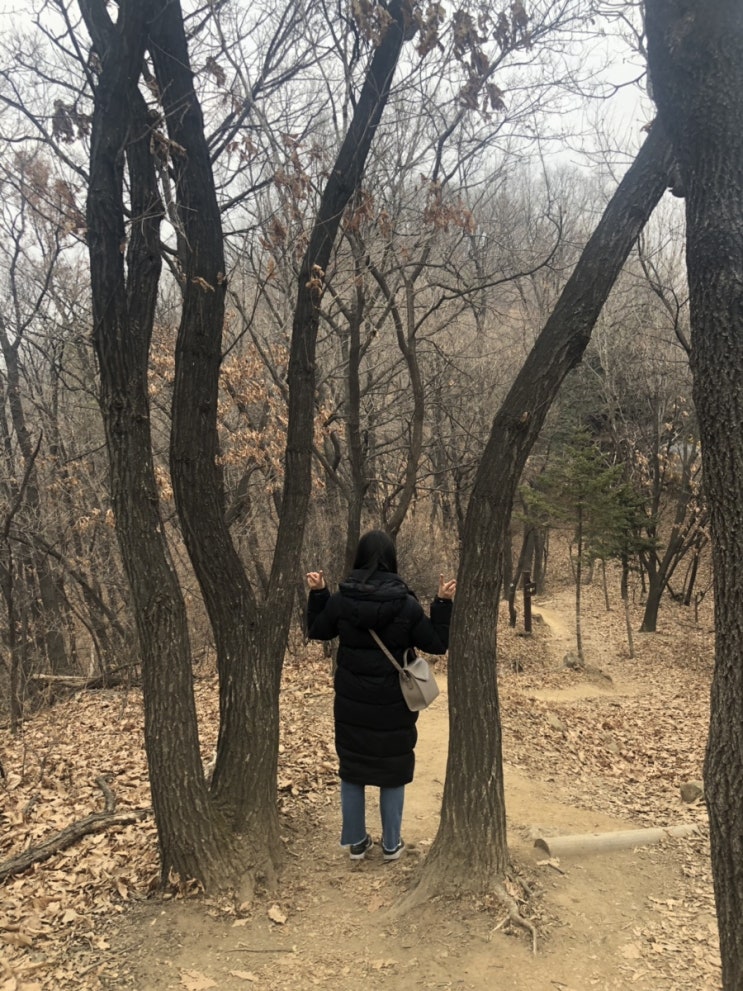  2019년 버킷리스트, 등산 시작