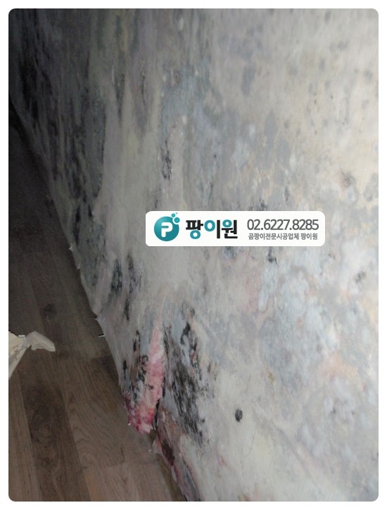  끝나지 않은 벽지 곰팡이제거~