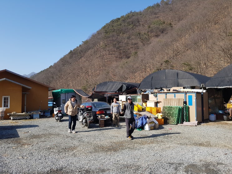  충주호 6형제 혹시 들어보셨나요. 인간극장 에 출연했던 소소한 일상을 사는 제 처남들예요