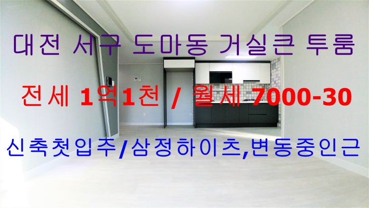  대전서구도마동신축첫입주거실큰투룸전세월세/대전도마동삼정하이츠,변동중신축첫입주거실큰투룸전세월세
