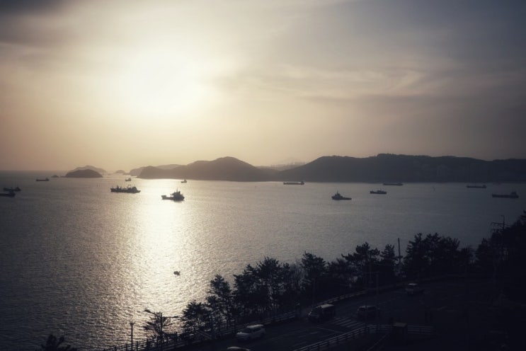  영도 목장원 근처에서 (a7m3 + fe28/2)