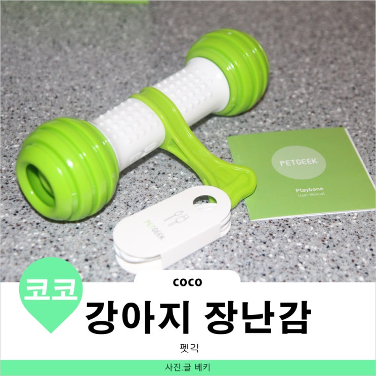  펫긱 플레이본 애견 장난감 사용기