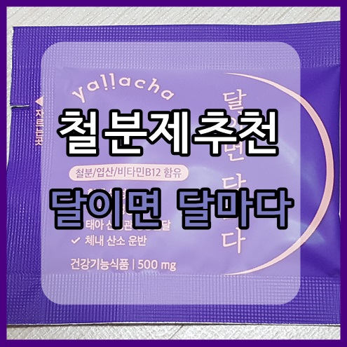  얄라차 달이면 달마다 철분제추천 : 씹어먹는 포도맛 철분제