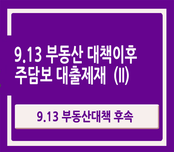  9.13 부동산 후속대책 주택담보대출규제 (II)