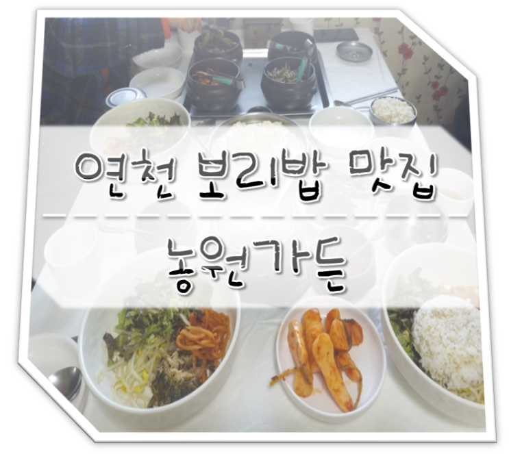  연천 맛집 농원가든 순두부 보리밥