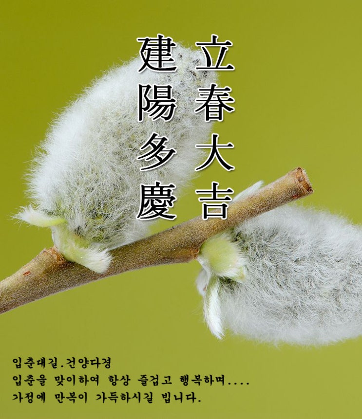  입춘대길 ...봄입니다.